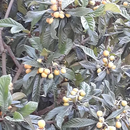 Appartement Gabrijela *